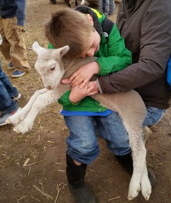 Lamb Love at the Sheep Show